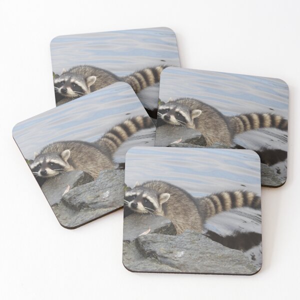 Item preview, hi have any food for a hungry raccoon? designed and sold by RichImage.