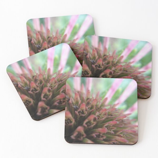 Item preview, Coneflower designed and sold by KatieSchutteArt.