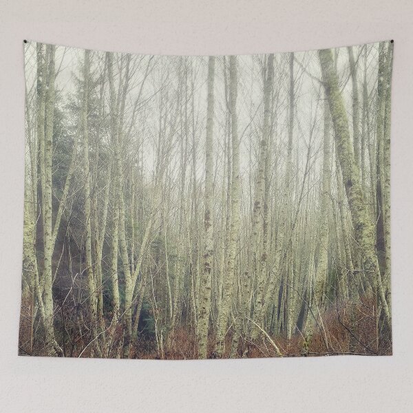 Item preview, Birch Trees in Fog designed and sold by MScott-Photo.