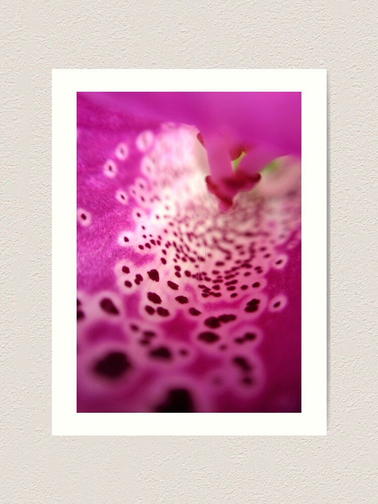 Alternate view of Foxglove Art Print