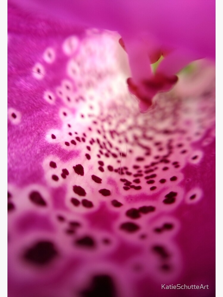 Foxglove by KatieSchutteArt