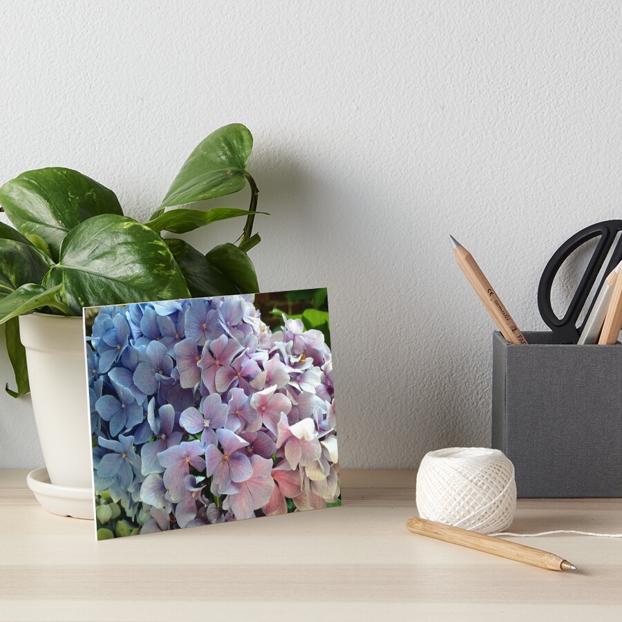 Item preview, Art Board Print designed and sold by KatieSchutteArt.