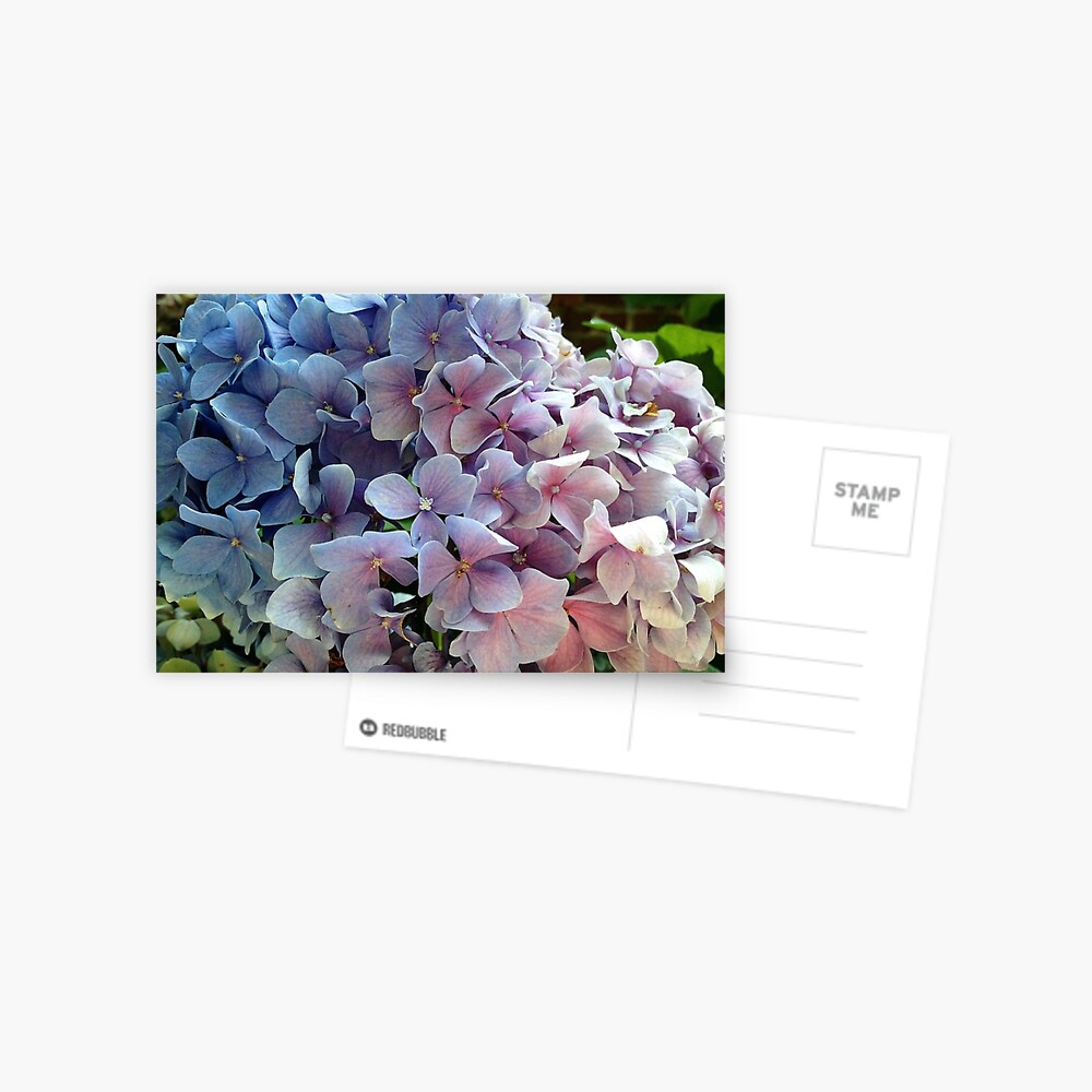 Item preview, Postcard designed and sold by KatieSchutteArt.