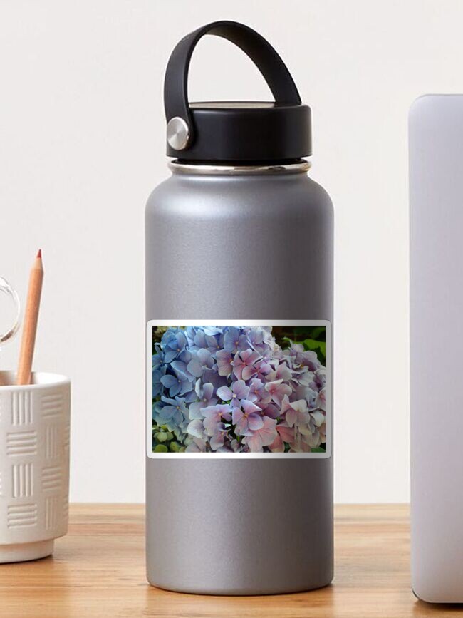 Thumbnail 1 of 3, Sticker, Hydrangea designed and sold by KatieSchutteArt.