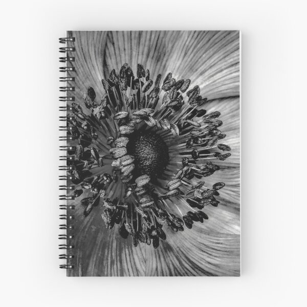 Item preview, The Anemone in Black and white designed and sold by PictureNZ.