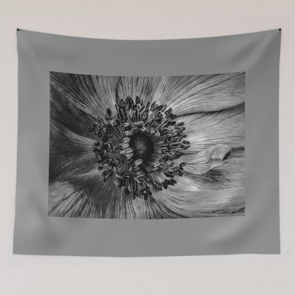 Item preview, The Anemone in Black and white designed and sold by PictureNZ.