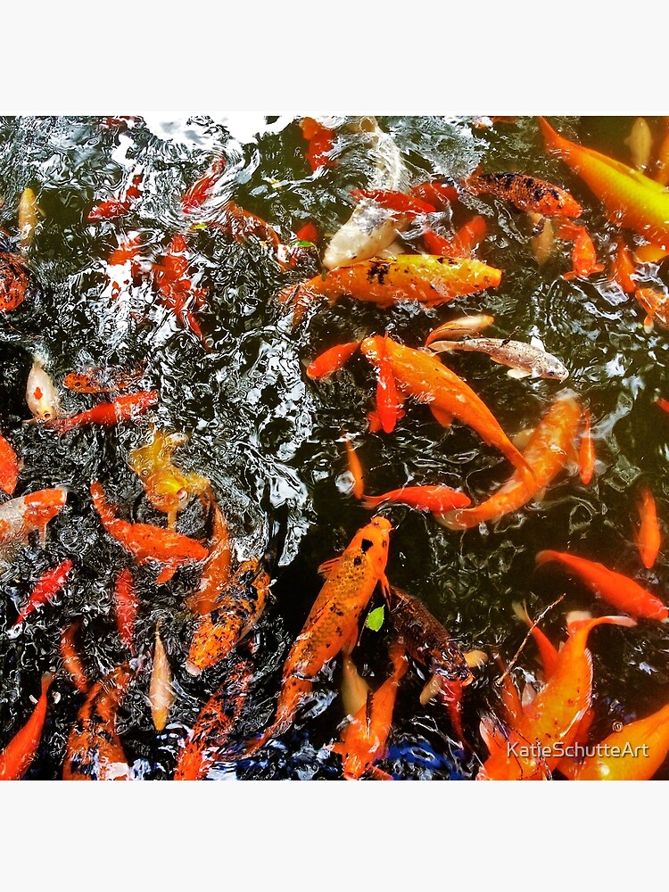 Koi by KatieSchutteArt