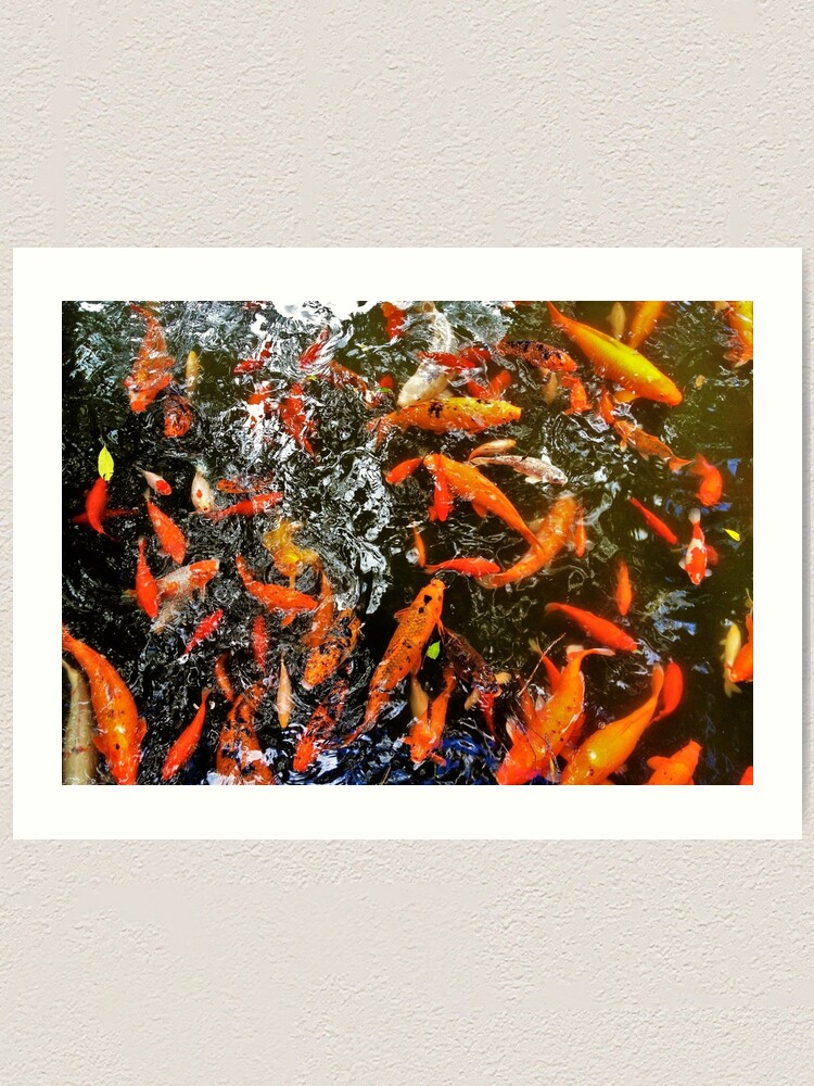 Alternate view of Koi Art Print