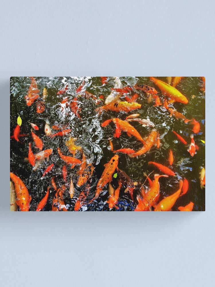 Alternate view of Koi Canvas Print