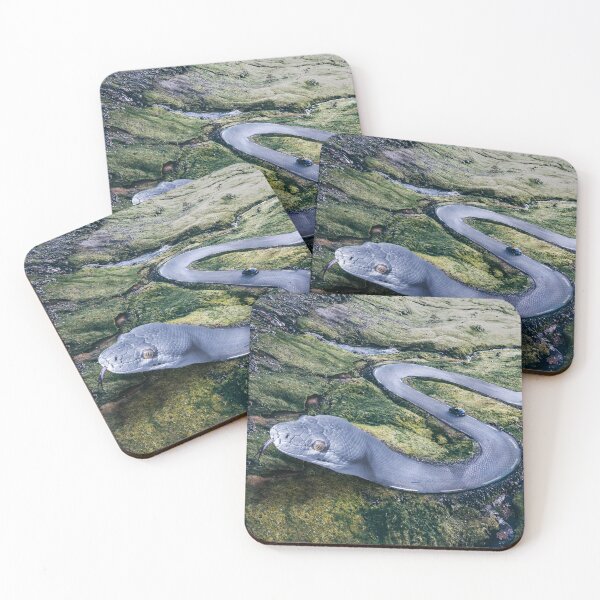 Item preview, Snake Street designed and sold by kelvinstagram.