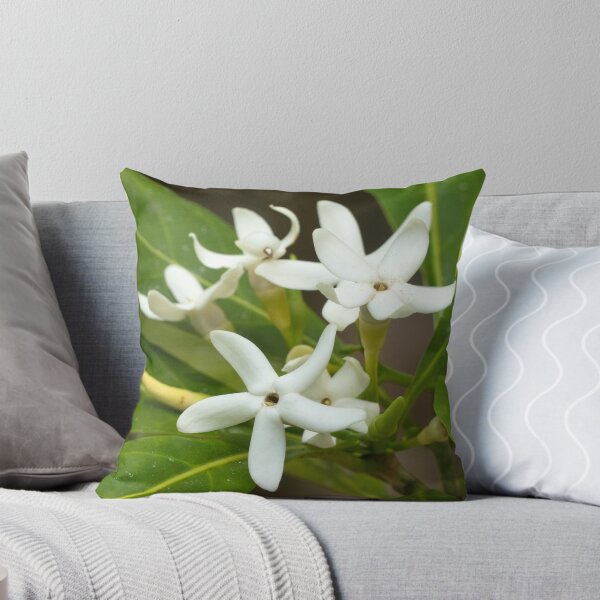 Item preview, Brown Gardenia (Atractocarpus fitzalanii) flowers in bloom designed and sold by Connie Pinson.