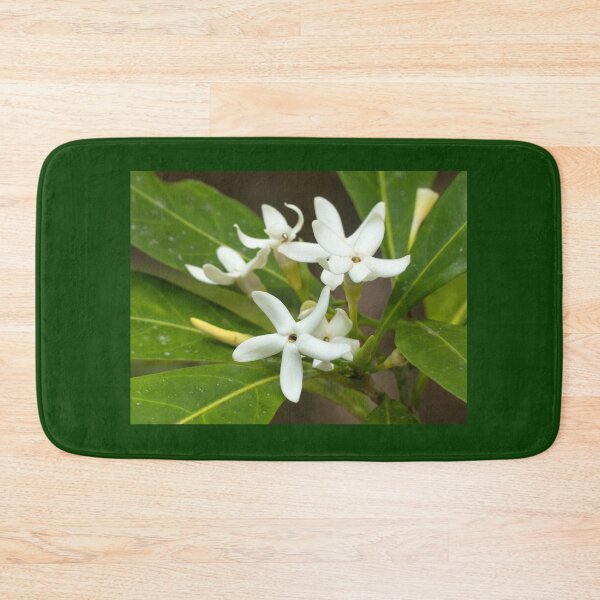 Item preview, Brown Gardenia (Atractocarpus fitzalanii) flowers in bloom designed and sold by Connie Pinson.