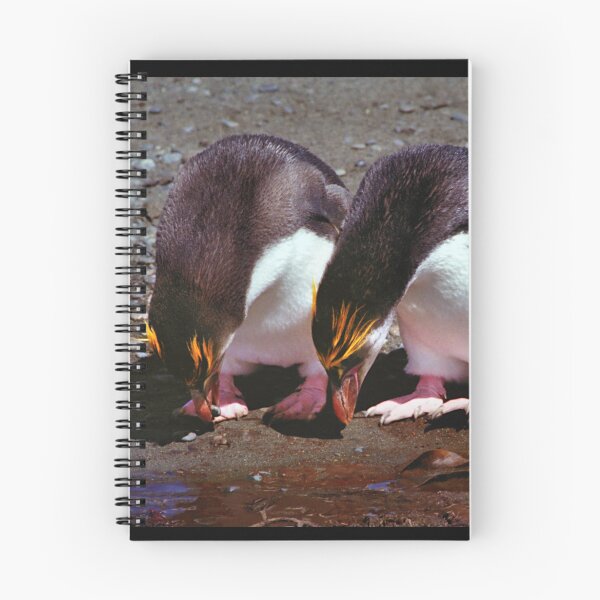 Item preview, Royal Penguins Collecting Pebbles For Their Nest designed and sold by Carole-Anne.