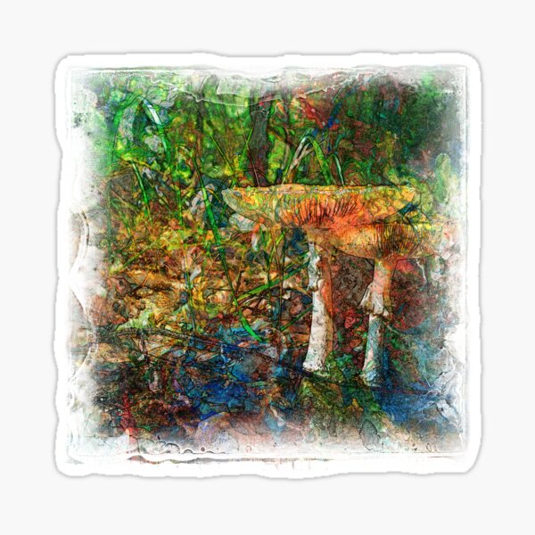 The Atlas Of Dreams - Color Plate 60 Sticker