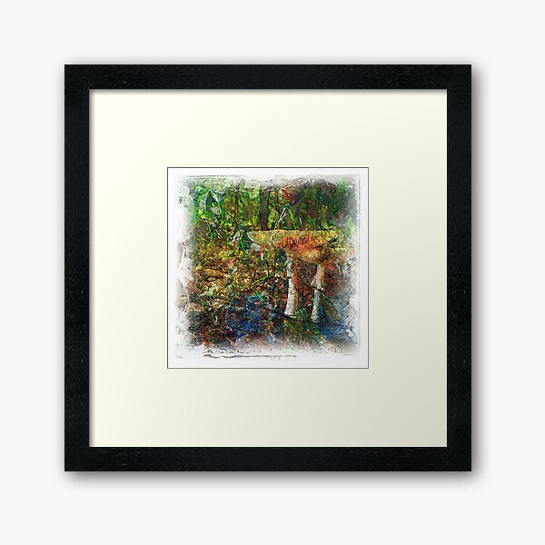 The Atlas Of Dreams - Color Plate 60 Framed Art Print