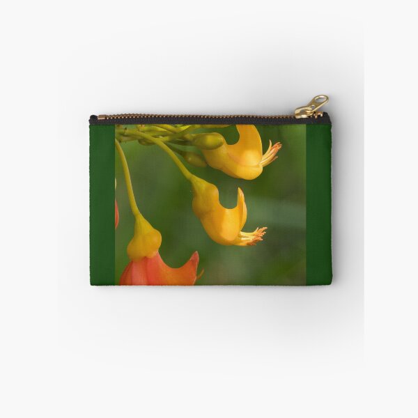 Item preview, Flowers of Black Bean Tree (Castanospermum australe) designed and sold by Connie Pinson.