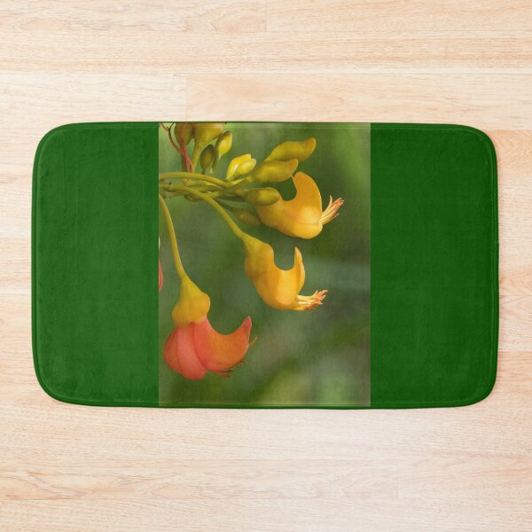 Item preview, Flowers of Black Bean Tree (Castanospermum australe) designed and sold by Connie Pinson.