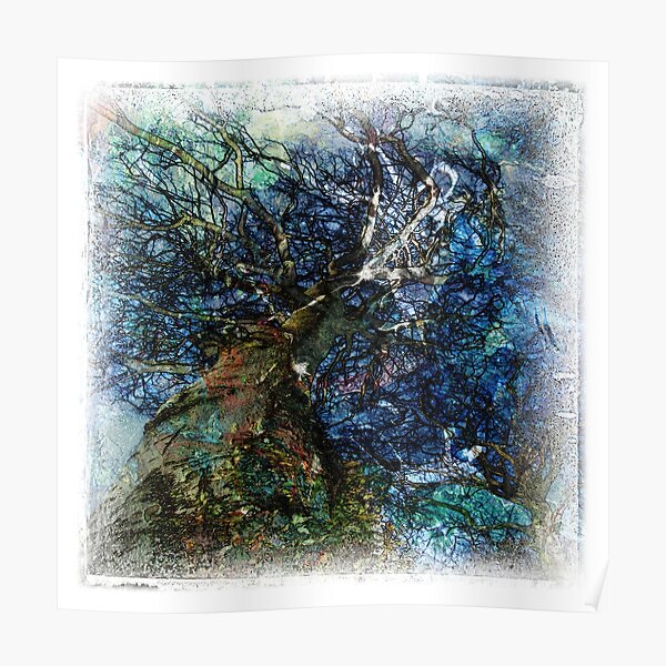 The Atlas Of Dreams - Color Plate 62 Poster
