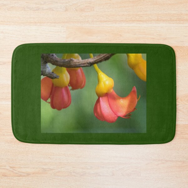 Item preview, Flowers of Black Bean Tree (Castanospermum australe) designed and sold by Connie Pinson.