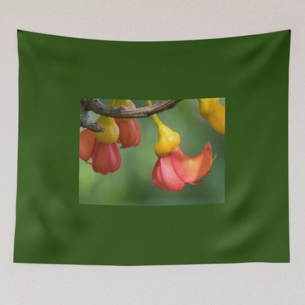 Item preview, Flowers of Black Bean Tree (Castanospermum australe) designed and sold by Connie Pinson.