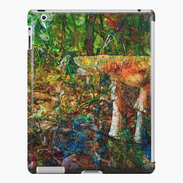 The Atlas Of Dreams - Color Plate 60 iPad Snap Case