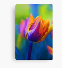 The Colours Of Spring.... Canvas Print