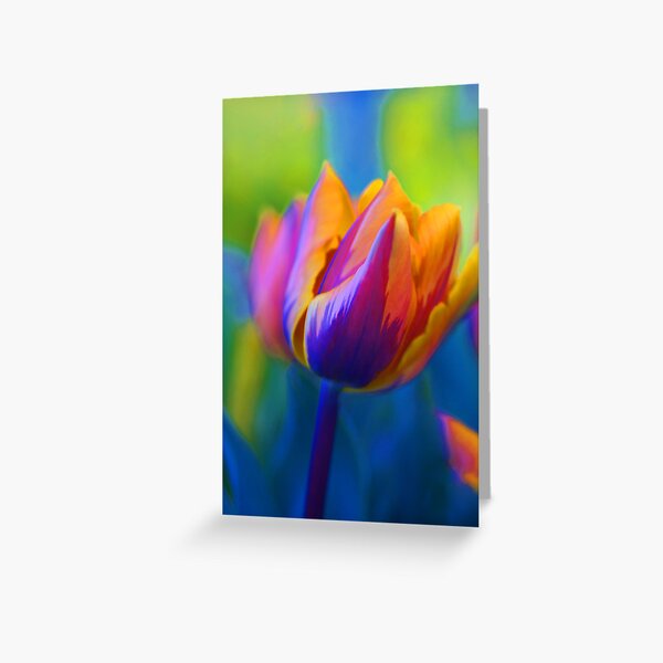 The Colours Of Spring.... Greeting Card