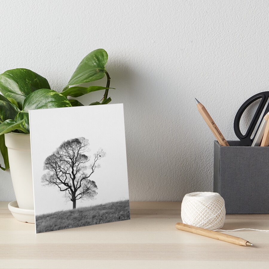 Bare Naked Tree Art Board Print By Photosbymia Redbubble