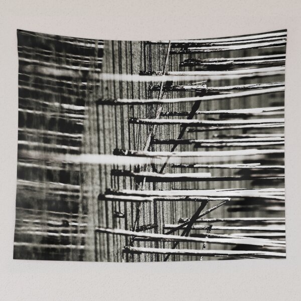 Item preview, Cañas de agua Mono designed and sold by Ohlordi.