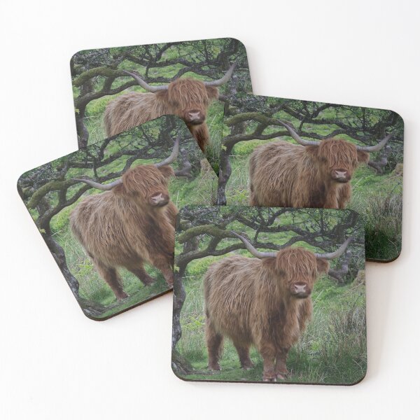 Item preview, Highland Cattle on Exmoor designed and sold by Adrian Rowley.