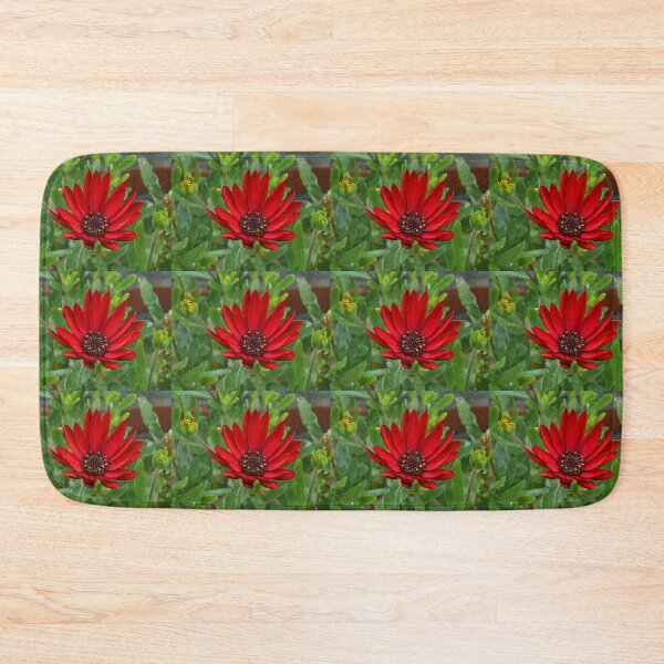 Item preview, Red Velvet - Sunlit Cape Daisy designed and sold by SunriseRose.