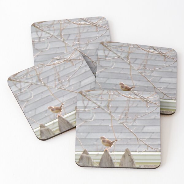 Item preview, Creo que es el trasero de un chickadee designed and sold by MelodyHoward.