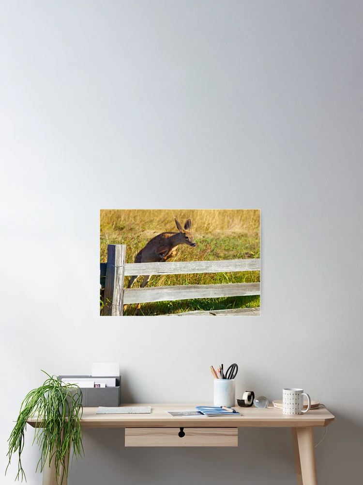 Thumbnail 2 of 3, Poster, Over the Fence designed and sold by Randall Ingalls.