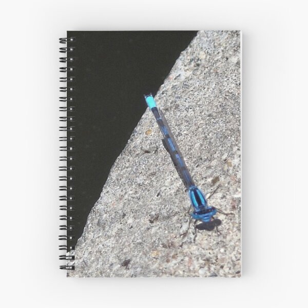 Item preview, The Blue Bandit  designed and sold by Carla Jensen.