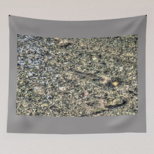 Item preview, Troutspotting designed and sold by Steve H Clark.