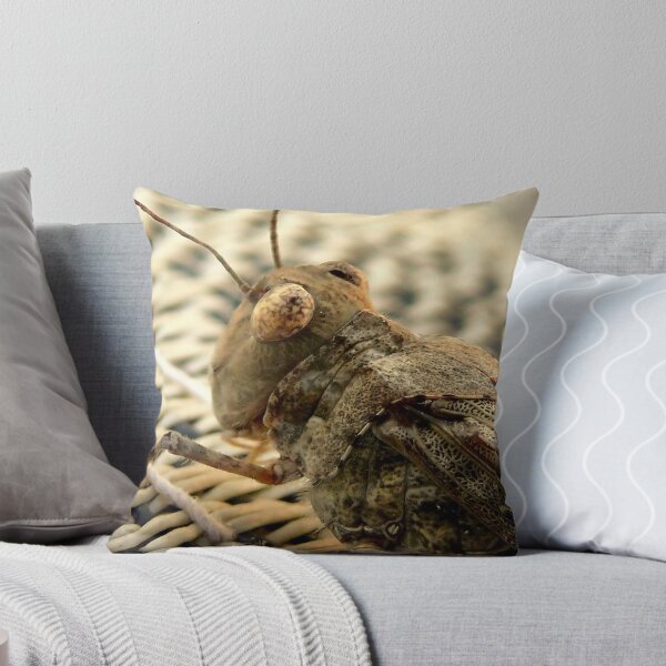 Item preview, The Wise Ole Grasshopper ~ Seaside  Hopper designed and sold by Carla Jensen.