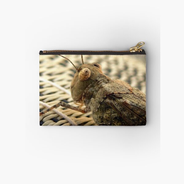 Item preview, The Wise Ole Grasshopper ~ Seaside  Hopper designed and sold by Carla Jensen.