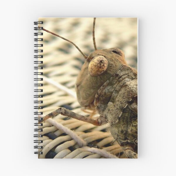 Item preview, The Wise Ole Grasshopper ~ Seaside  Hopper designed and sold by Carla Jensen.