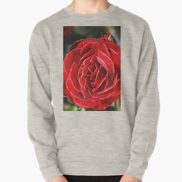 Pullover Hoodies Einzelne Rote Rose Redbubble