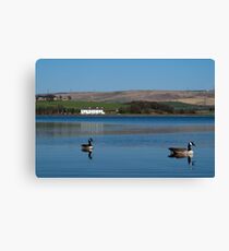 Quack Quack Canvas Print
