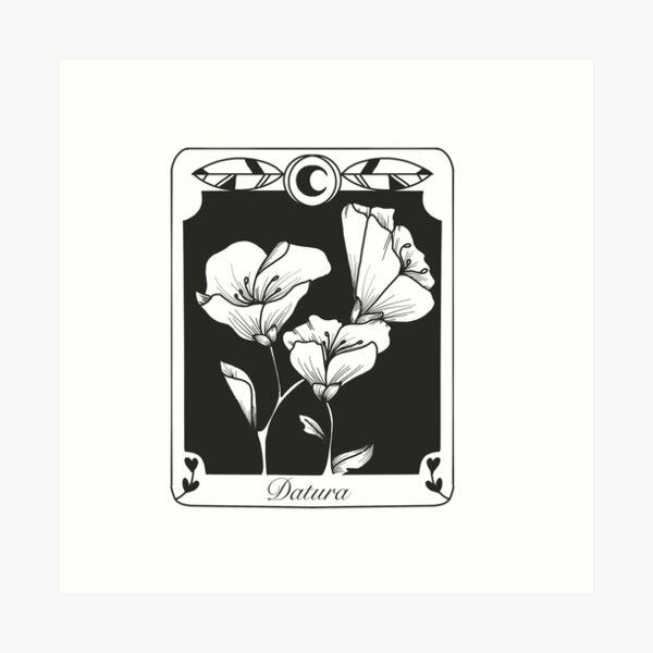 Aperçu de l'œuvre Datura (Moonflower) Tarot Card créée et vendue par Kymberley Loats.