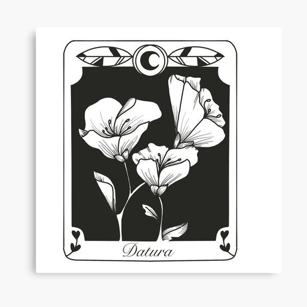 Aperçu de l'œuvre Datura (Moonflower) Tarot Card créée et vendue par Kymberley Loats.
