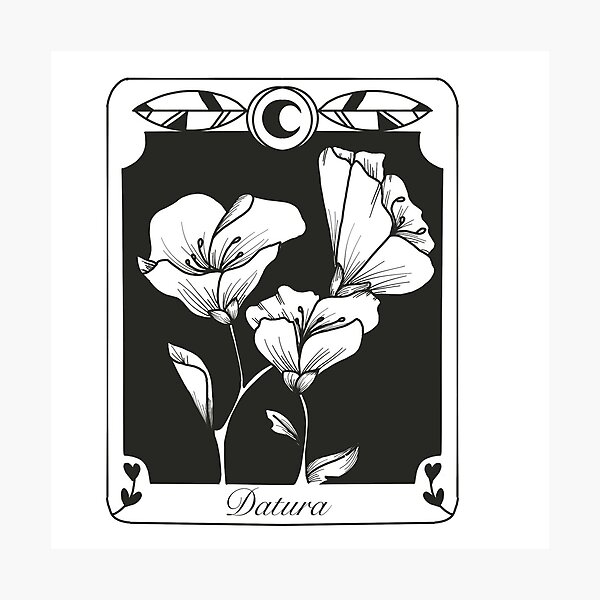 Aperçu de l'œuvre Datura (Moonflower) Tarot Card créée et vendue par Kymberley Loats.