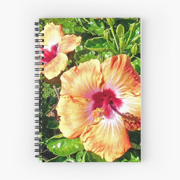 Item preview, Hibiscus, "Coba Kanic" designed and sold by Margaret  Hyde.