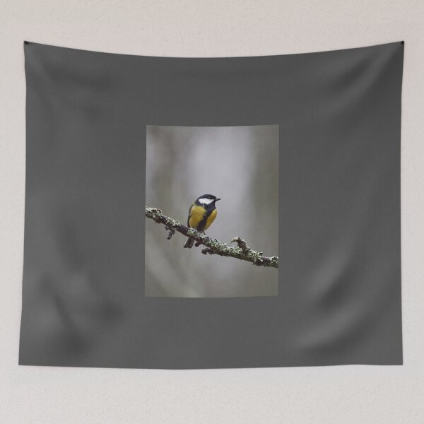 Item preview, Great tit in the November light designed and sold by Jouko Lehto Photography.