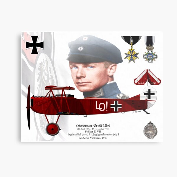 Oberleutnant Ernst Udet Metal Print