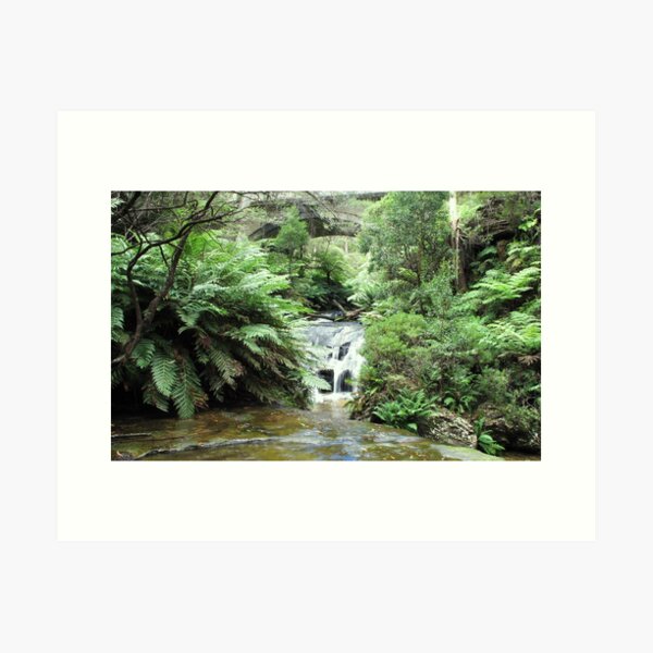Item preview, Leura Cascades and Chelmsford Bridge designed and sold by bluegumbill.