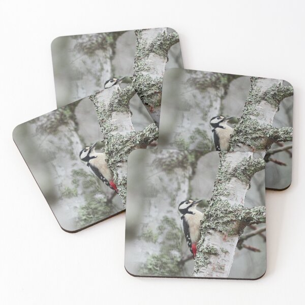 Item preview, Great spotted woodpecker and three birches designed and sold by Jouko Lehto Photography.