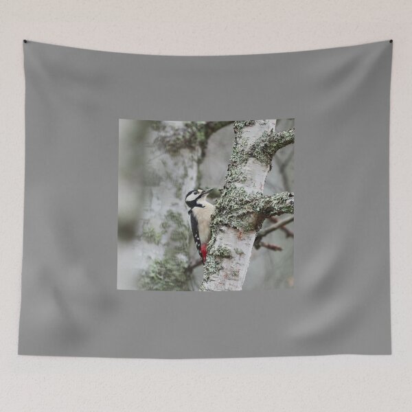 Item preview, Great spotted woodpecker and three birches designed and sold by Jouko Lehto Photography.
