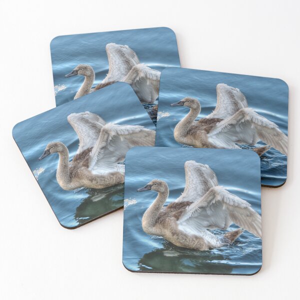 Item preview, Cygnet  designed and sold by Steve H Clark.